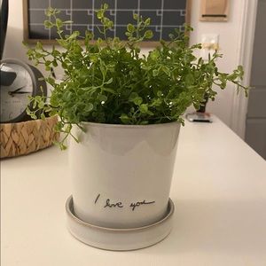 Hearth and Hand with Magnolia